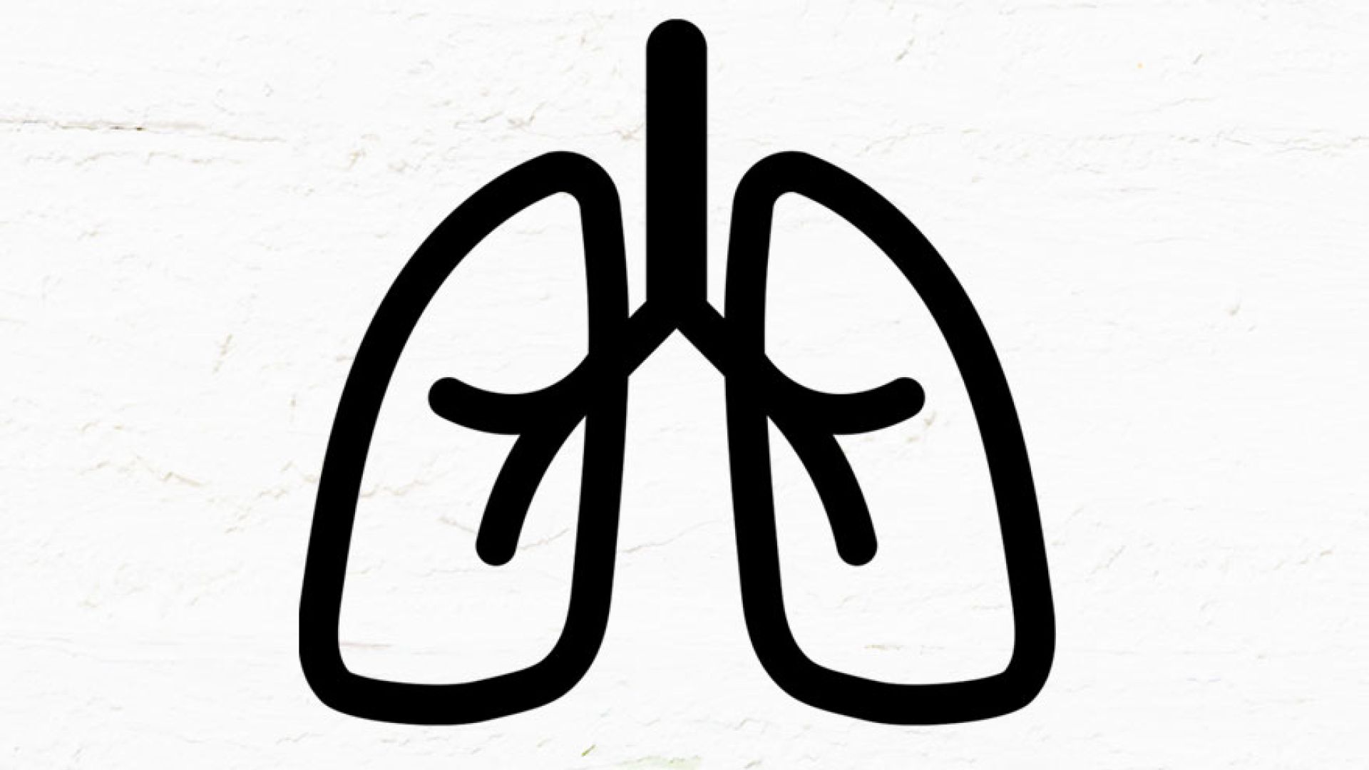 Respiratoire revalidatie